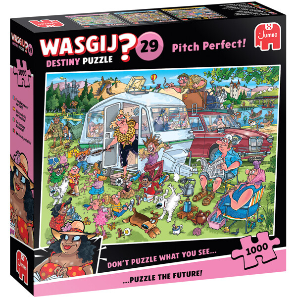 Wasgij Destiny 29 Pitch Perfect!