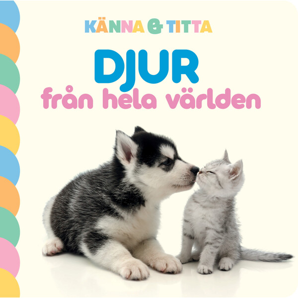 Känn & Titta: Djur Från Hela Världen