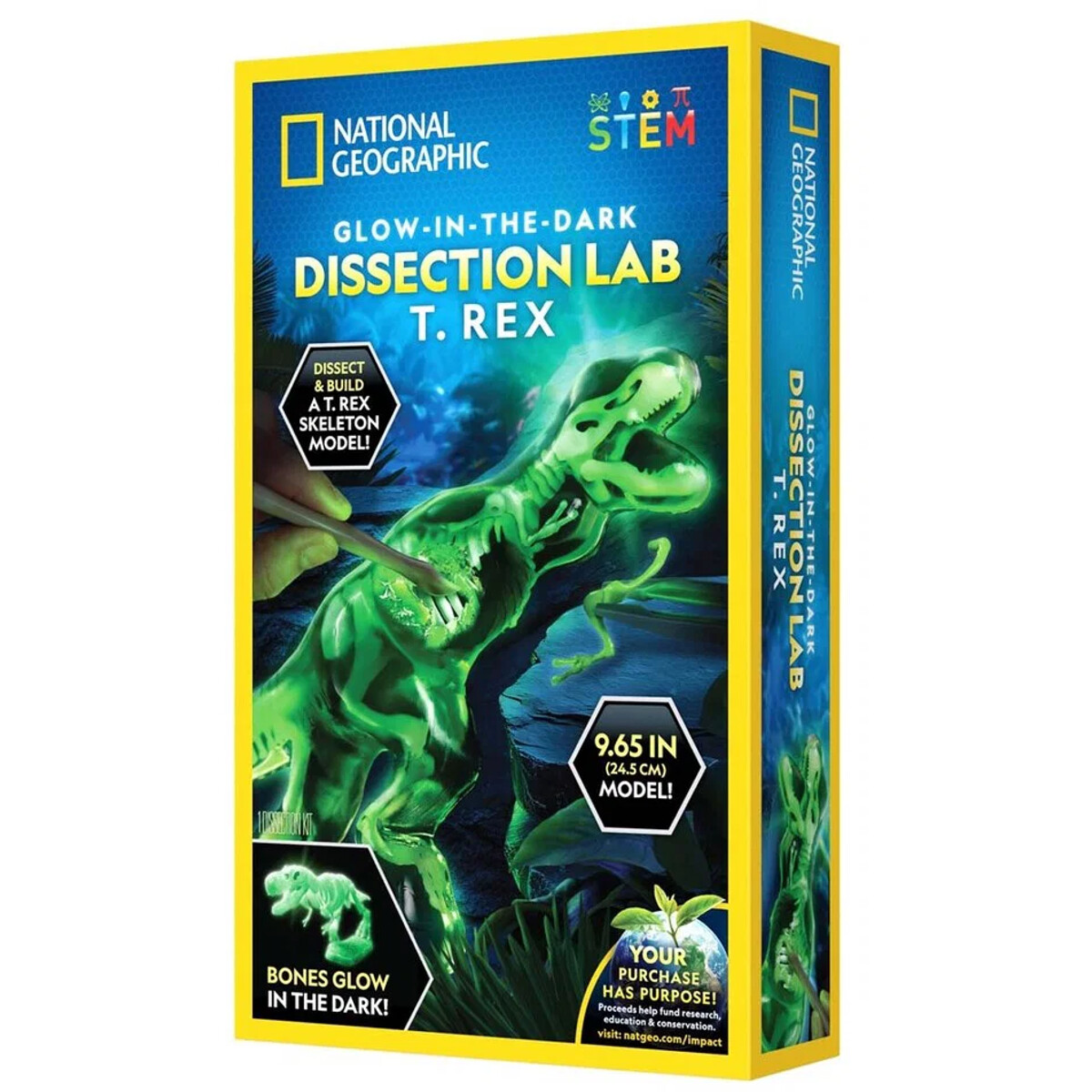 National Geographic Dissection Lab T. Rex